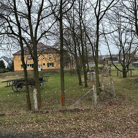 Gelbes Haus Seenland Ferienwohnungen Xl Elsterheide 외부 사진