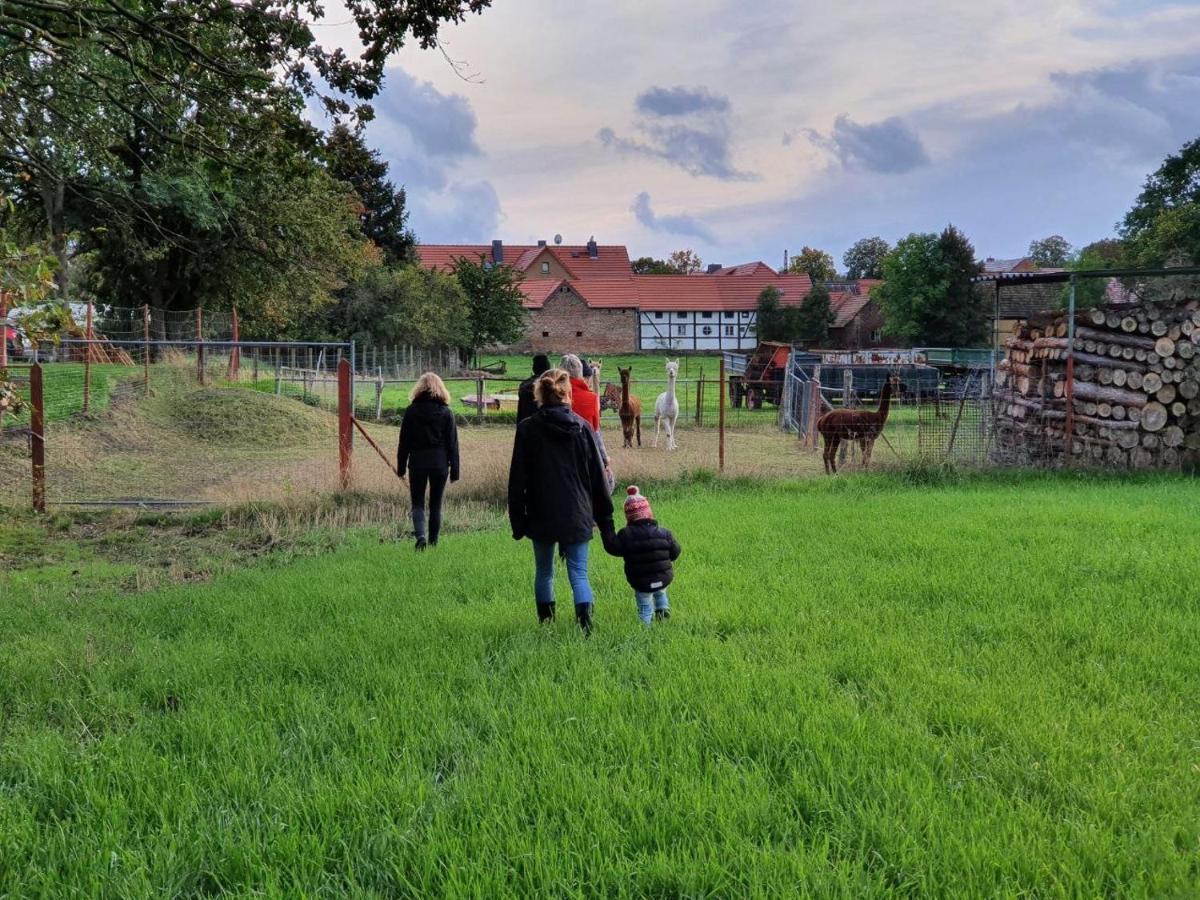 Gelbes Haus Seenland Ferienwohnungen Xl Elsterheide 외부 사진