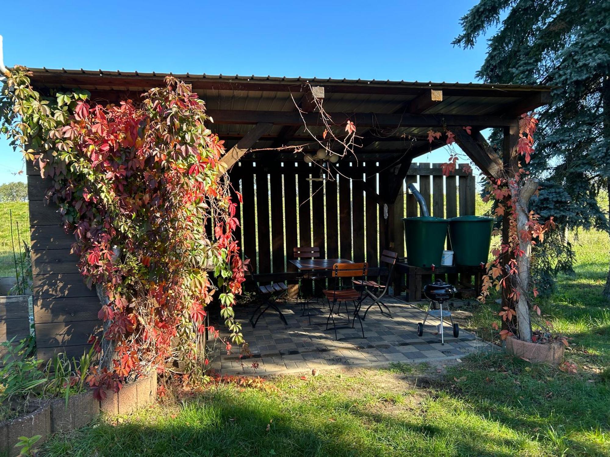 Gelbes Haus Seenland Ferienwohnungen Xl Elsterheide 외부 사진