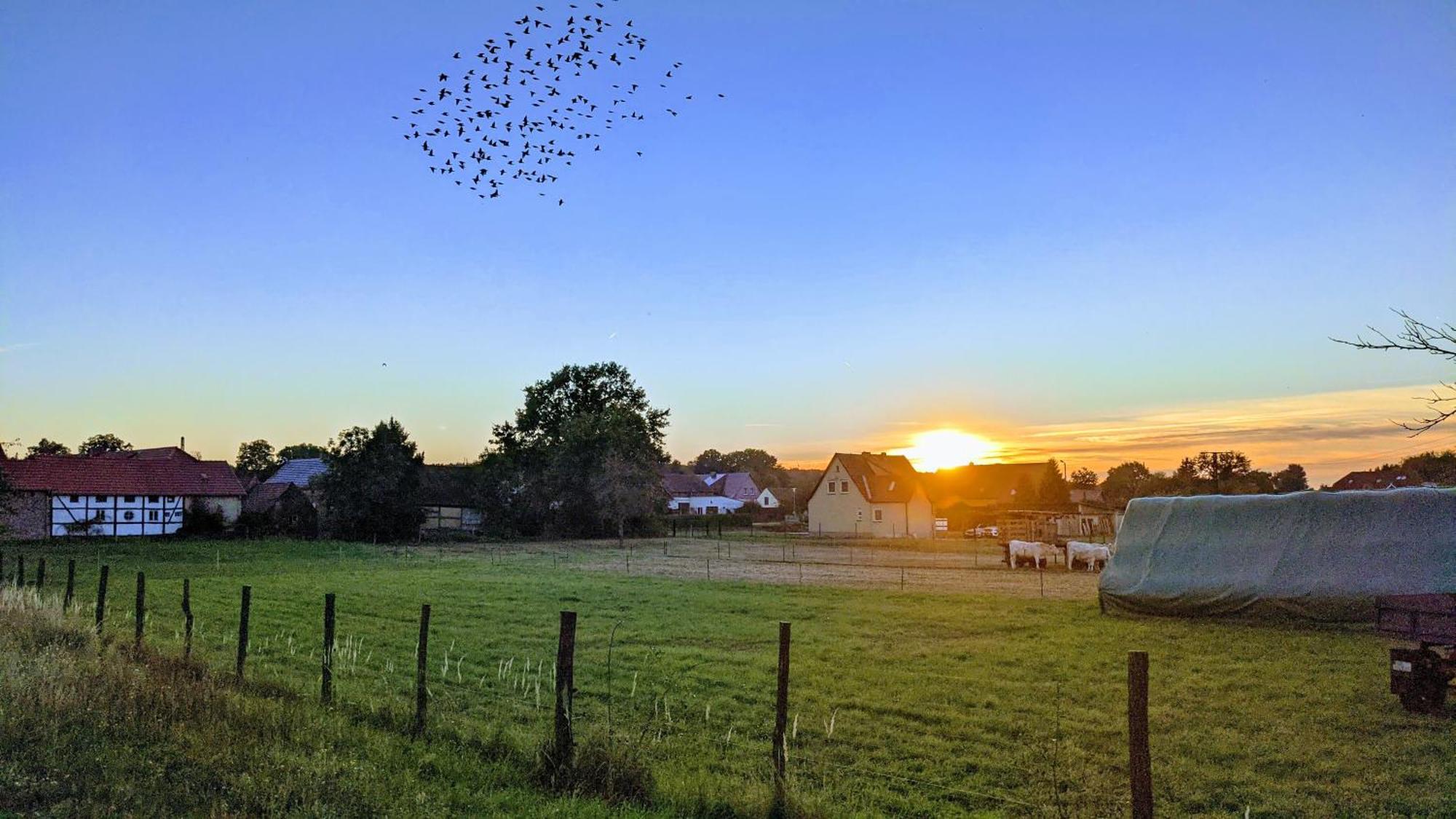 Gelbes Haus Seenland Ferienwohnungen Xl Elsterheide 외부 사진